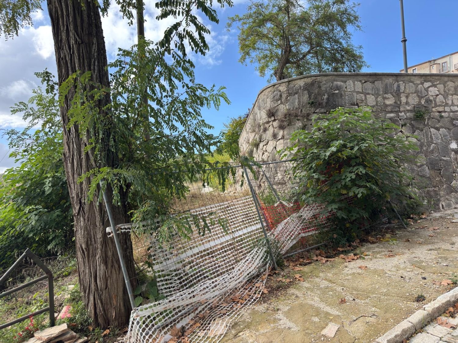 Recinzione di cantiere abbattuta e coperta dalla vegetazione ai piedi di un muro in pietra
